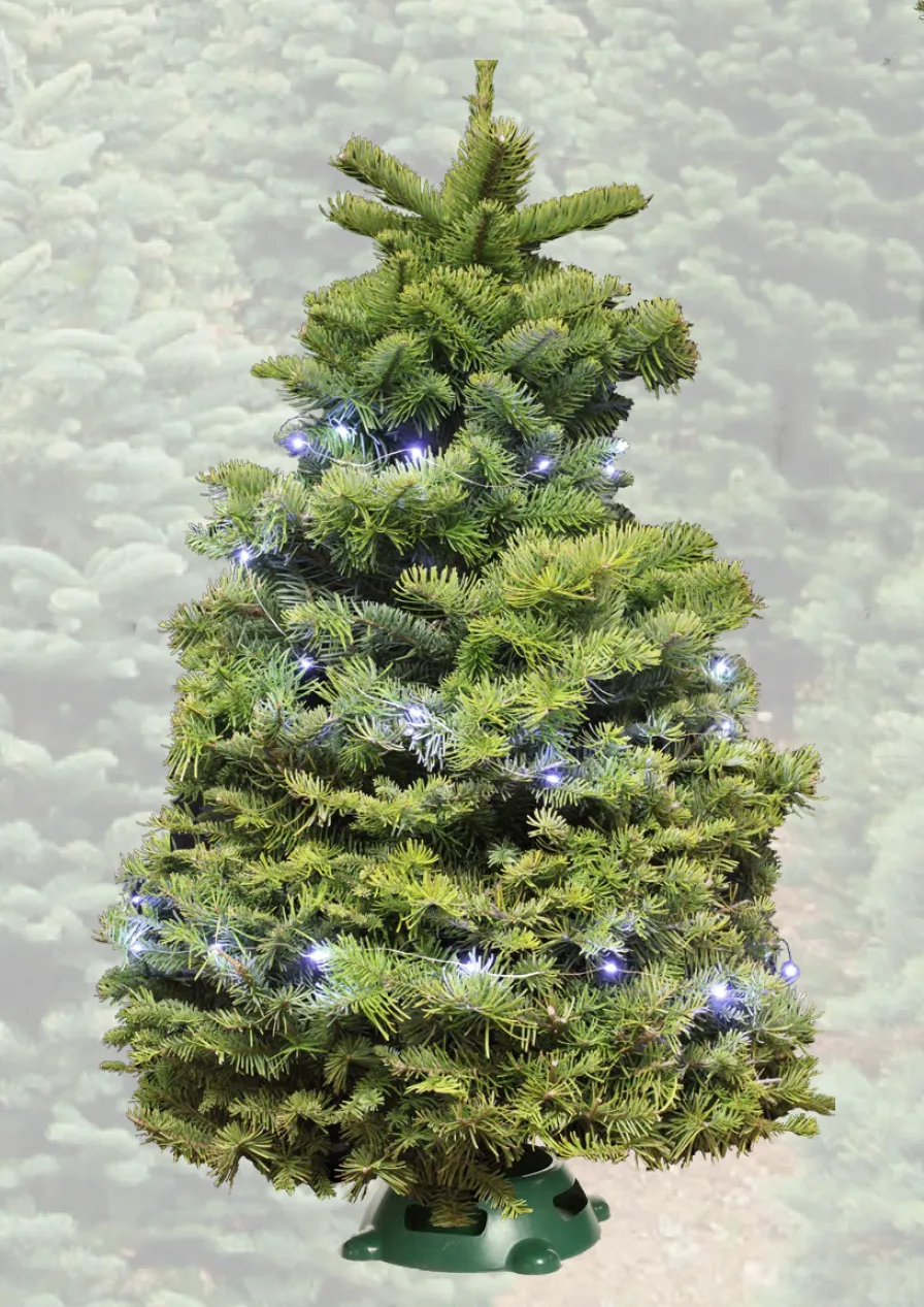 Kirk Elf Tree™ with Lights Island of Hawaii YMCA Store